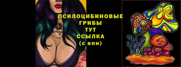 ПСИЛОЦИБИНОВЫЕ ГРИБЫ Коряжма