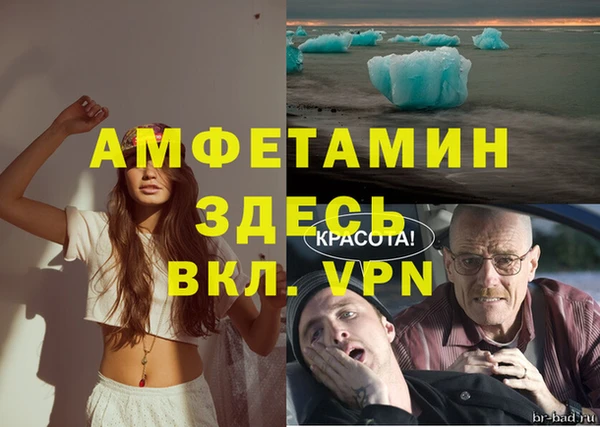 ПСИЛОЦИБИНОВЫЕ ГРИБЫ Коряжма