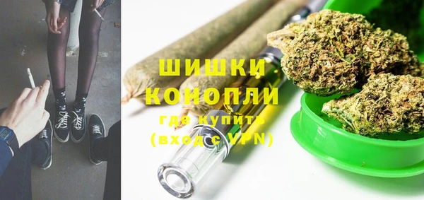 ПСИЛОЦИБИНОВЫЕ ГРИБЫ Коряжма